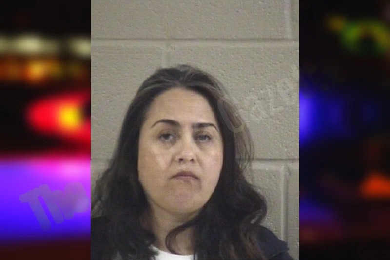 Dora Estrada-Salaices Mugshots