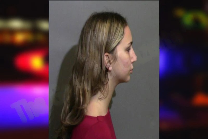 Drew Delmastro Mugshots