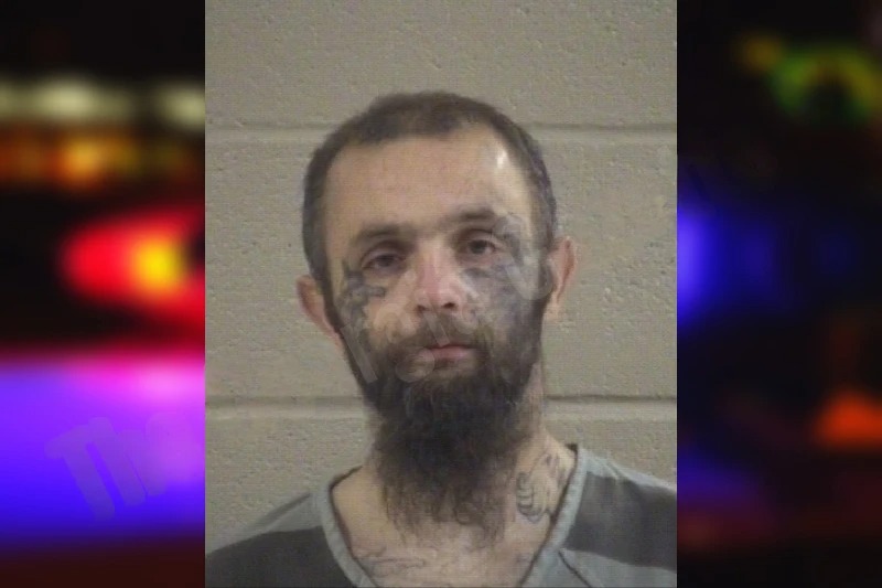 Dustin Williams Mugshots