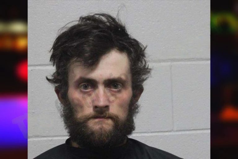 Dylan Nelms mugshot – Habersham County , Georgia Dylan Nelms