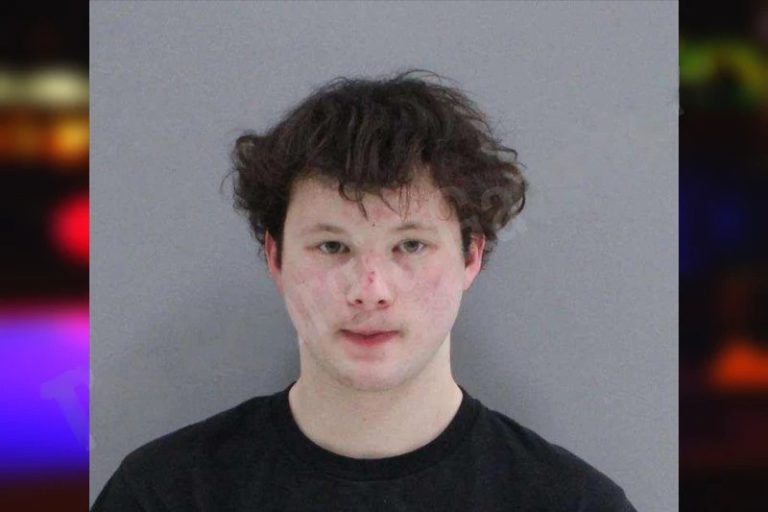 Dylan Webb mugshot – Rabun County , Georgia Dylan Webb