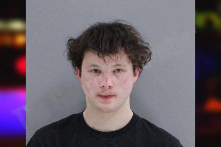 Dylan Webb mugshot – Rabun County , Georgia Dylan Webb