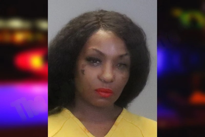 Ebony Warren Mugshots