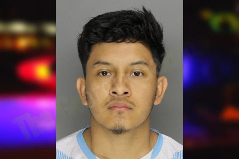 Elfreed Ventura mugshot – Cobb County , Georgia Elfreed Ventura