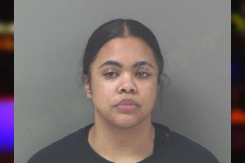 Elizabeth Bonilla mugshot – Douglas County , Georgia Elizabeth Bonilla mugshot