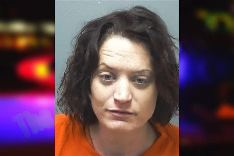 Elizabeth Herber Mugshots