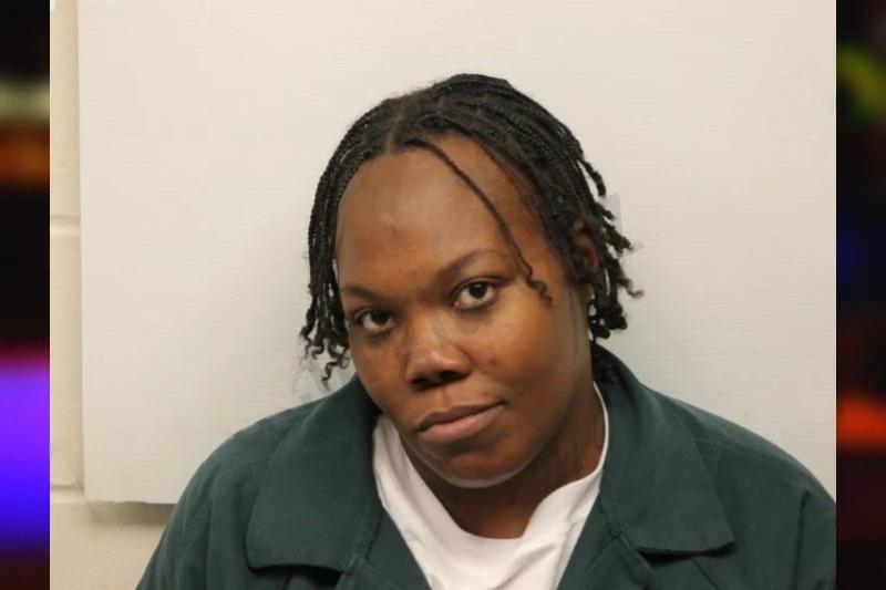 Elizabeth Lanier-Newton Mugshots