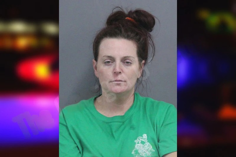 Elizabeth Reeves Mugshots