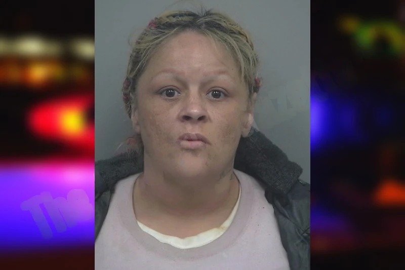 Elizabeth Sherwood Mugshots