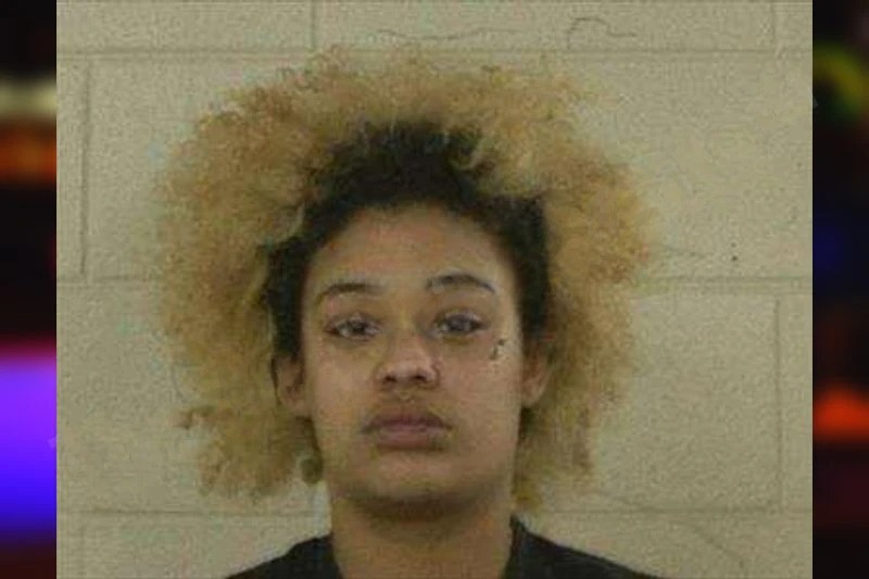 Elizabeth Stewart-Lira mugshot – Liberty County , Georgia Elizabeth Stewart-Lira mugshot