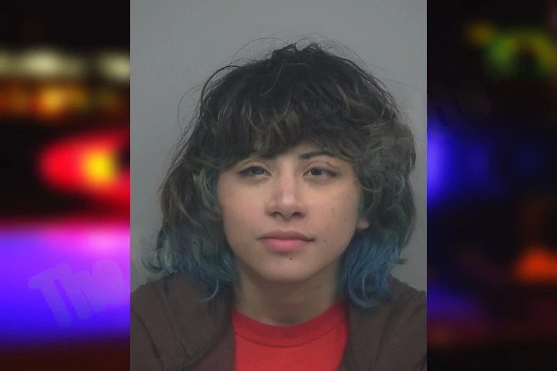 Elly Castro Nataren Mugshots