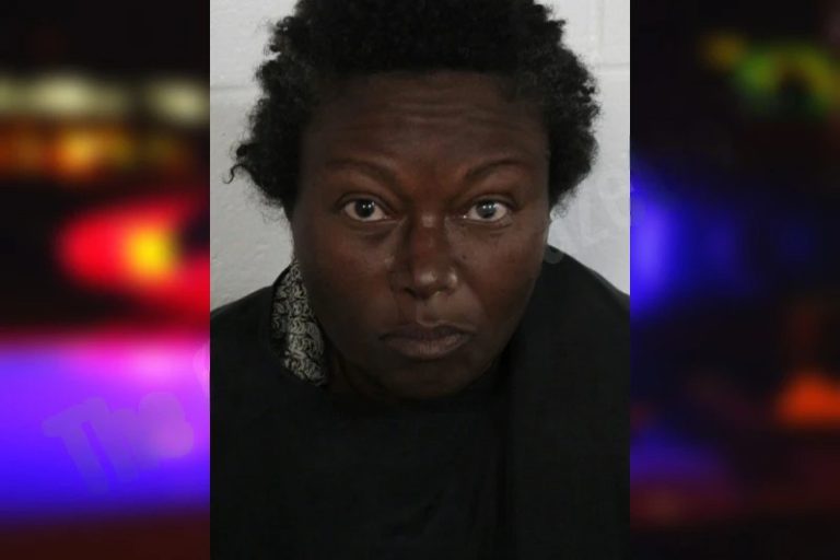 Eloise Mitchell mugshot – Floyd County , Georgia Eloise Mitchell