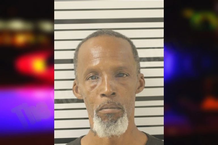 Eloweise Phillips mugshot – Toombs County , Georgia Eloweise Phillips