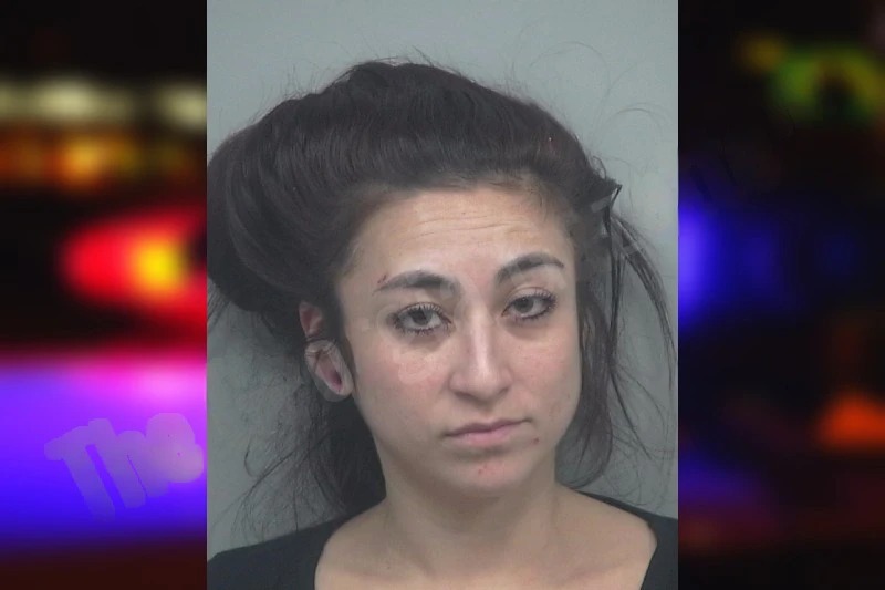 Elvia Nicasio mugshot – Gwinnett County , Georgia Elvia Nicasio mugshot