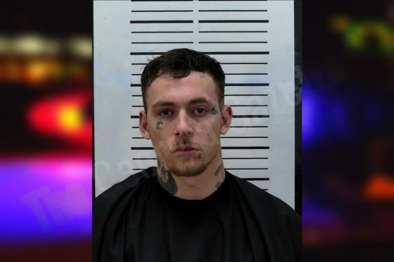 Elvis Lewis mugshot – Hart County , Georgia Elvis Lewis