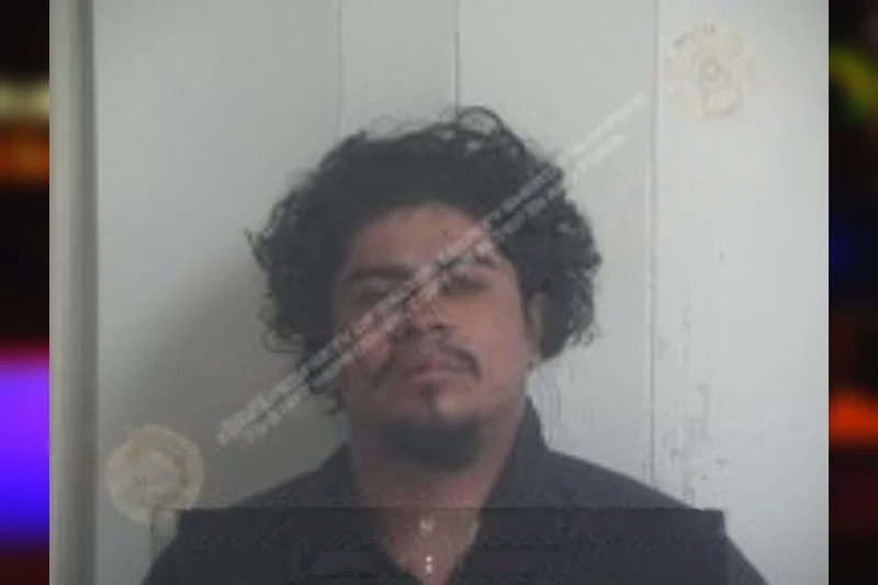 Ely Salazar Mugshots