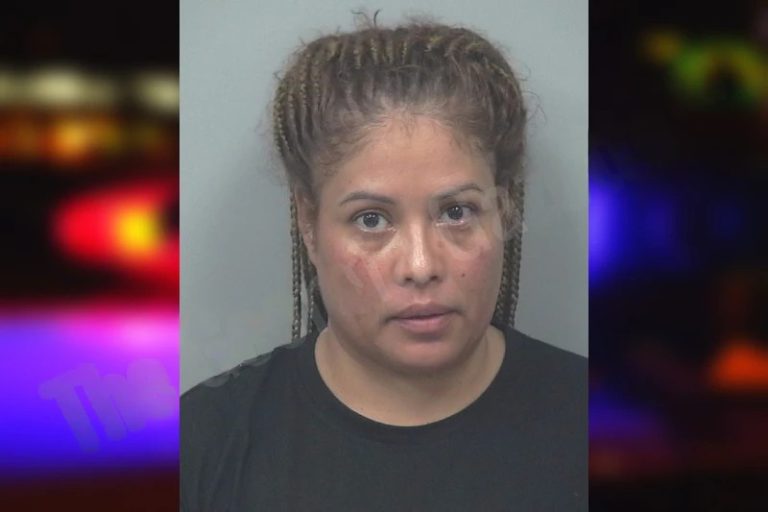 Emilia Bibiano-Garcia mugshot – Gwinnett County , Georgia Emilia Bibiano-Garcia