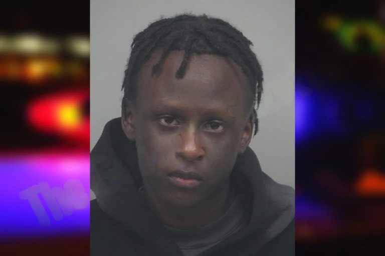 Emmanul Abdaltam mugshot – Toombs County , Georgia Emmanul Abdaltam