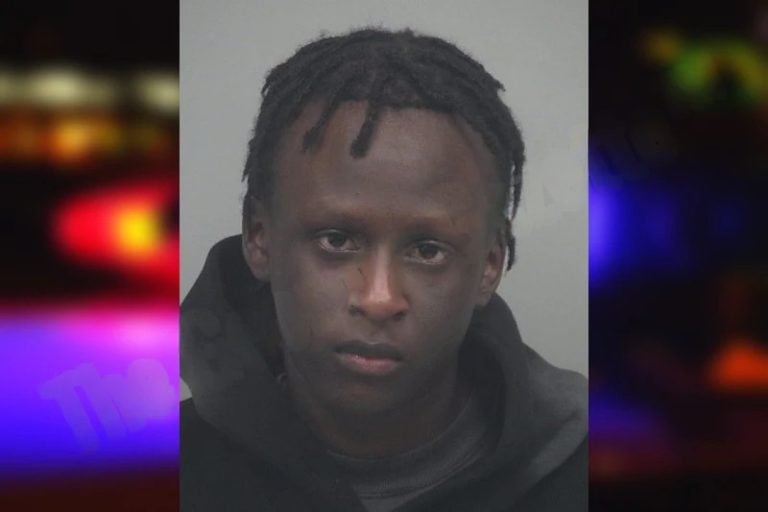 Emmanul Abdaltam mugshot – Bartow County , Georgia Emmanul Abdaltam