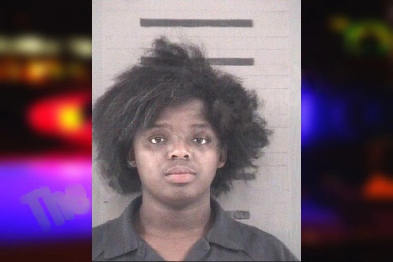 Empress Anderson mugshot