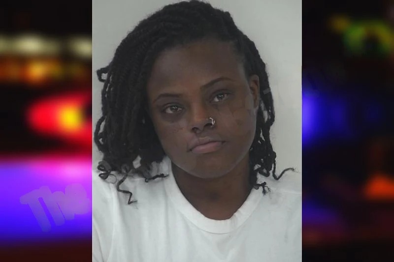 Erayana Stanley mugshot – Fayette County , Georgia Erayana Stanley mugshot