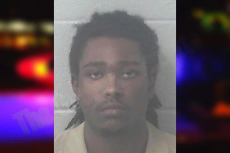 Eric Grays mugshot – Newton County , Georgia Eric Grays