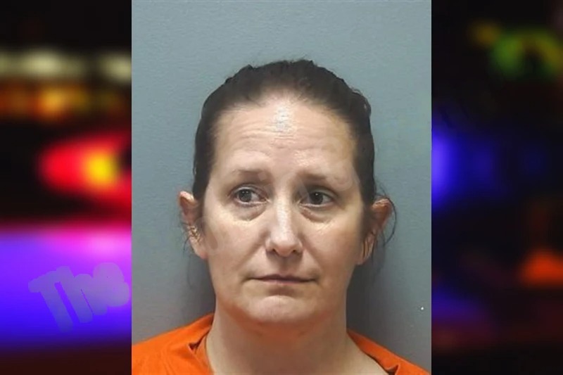 Erica Cabrera mugshot – Cherokee County , Georgia Erica Cabrera mugshot