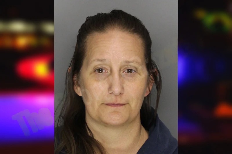 Erica Cabrera Mugshots