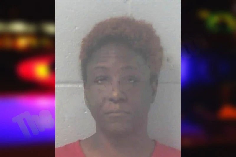 Erica Harris mugshot