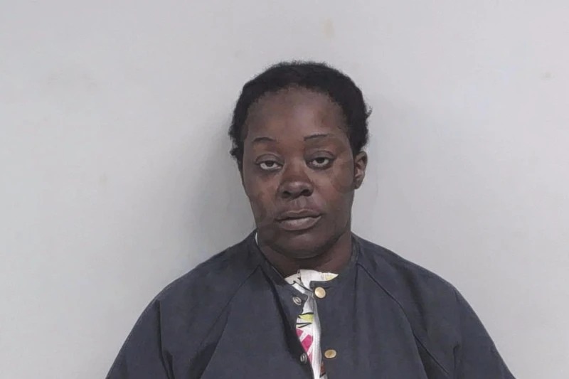 Erica Nelson Mugshots