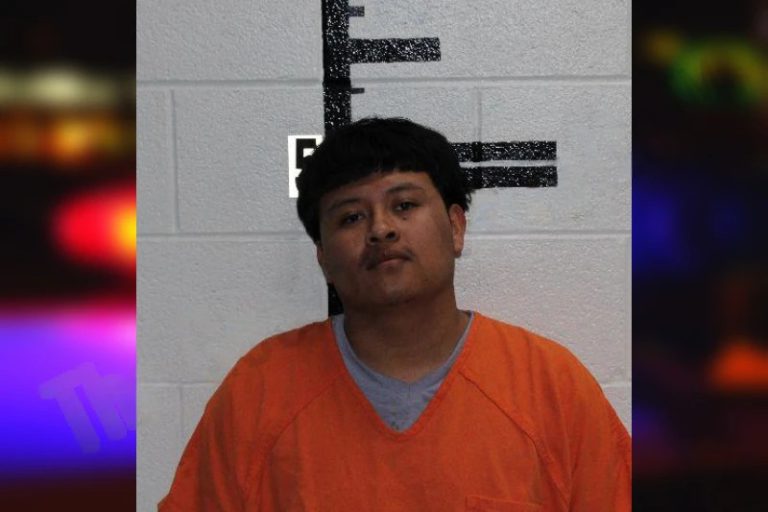 Erick Hernandez-Ordonez