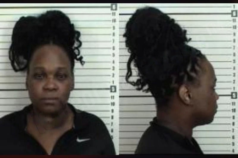 Ericka Reid mugshot – Camden County , Georgia Ericka Reid mugshot