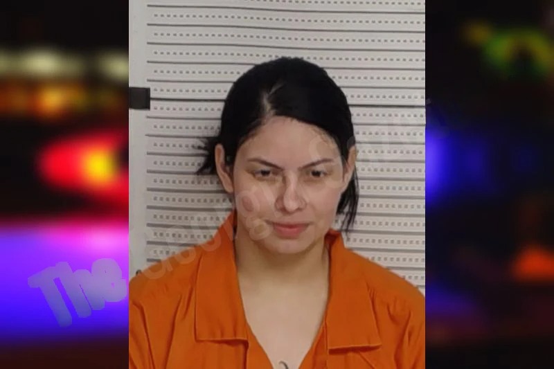 Ericka Zuniga Mugshots