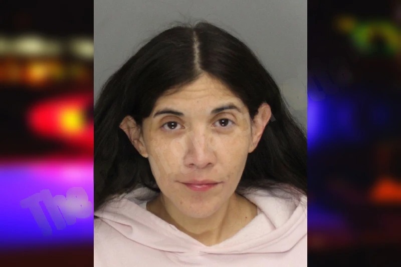 Erika Carlson Mugshots