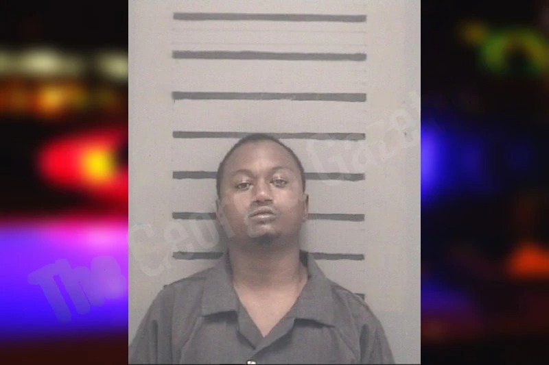 Erin Rodwell Mugshots