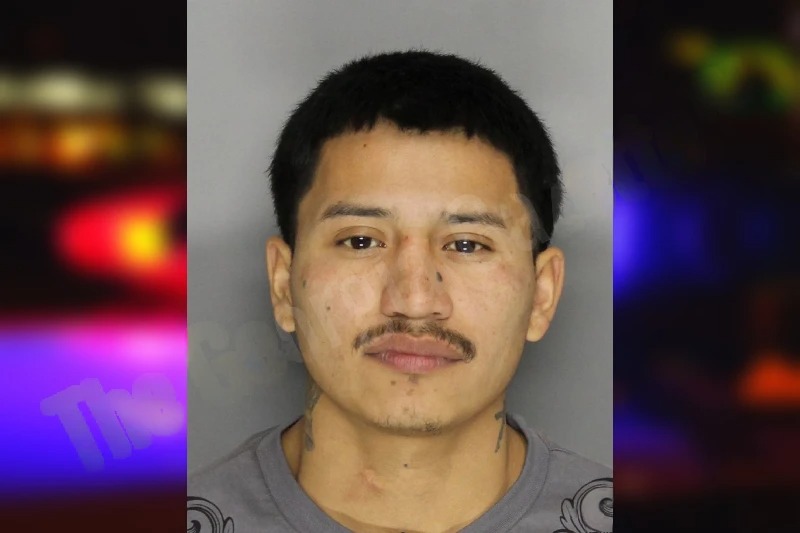 Erin Sanchez mugshot