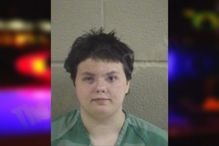 Erin Slaven mugshot – Whitfield County , Georgia Erin Slaven