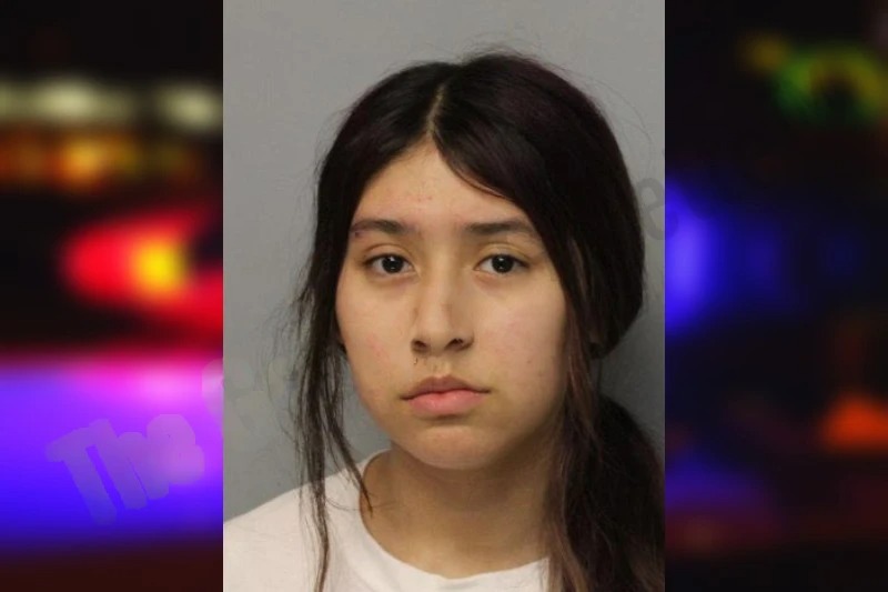 Ernestina Elizondo mugshot