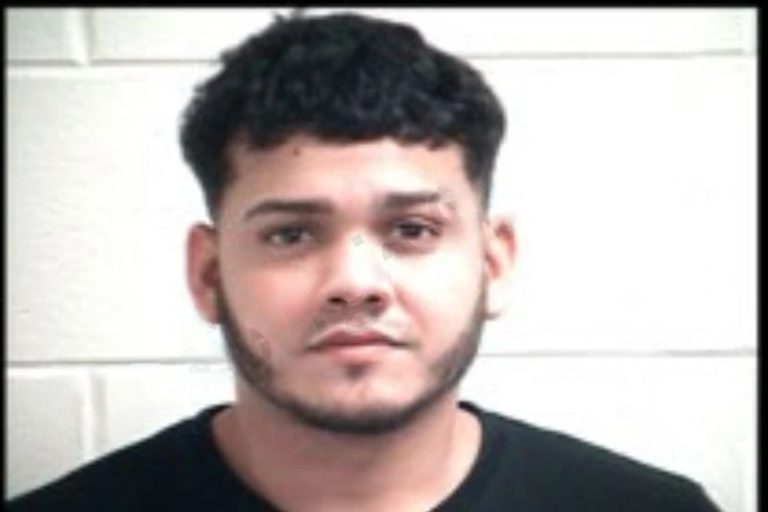 Ervin Garcia mugshot – Henry County , Georgia Ervin Garcia