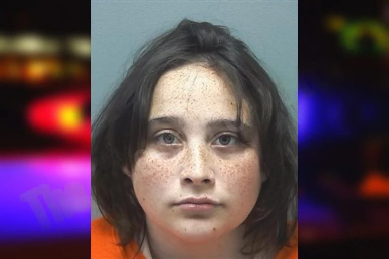 Evelyn Inoue mugshot – Cherokee County , Georgia Evelyn Inoue