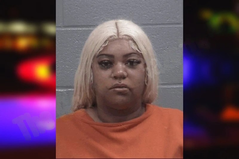 Fallon Brady Mugshots