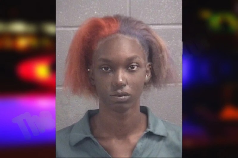 Fantasia Towner mugshot – Spalding County , Georgia Fantasia Towner mugshot