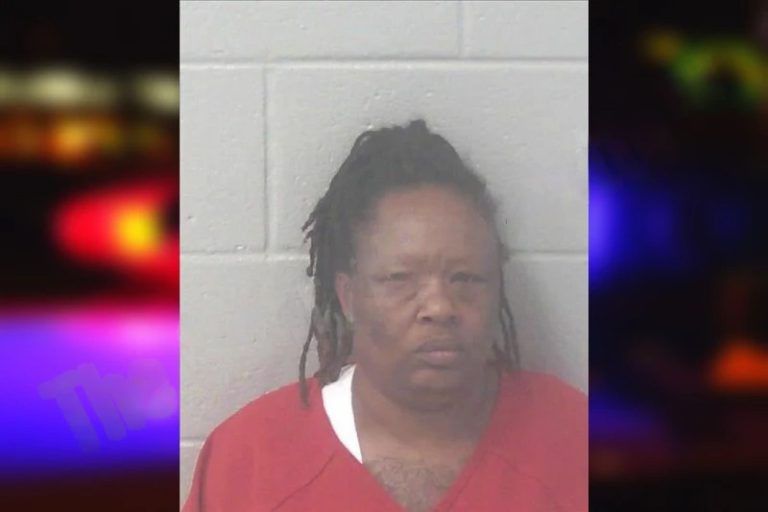 Felicia Jester mugshot – Newton County , Georgia Felicia Jester