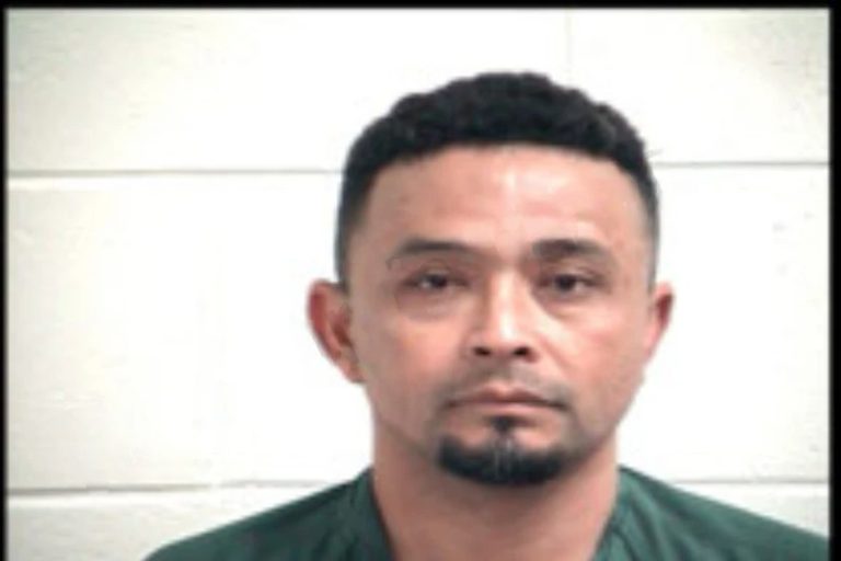 Felix Manzanarez Maganda mugshot – Henry County , Georgia Felix Manzanarez Maganda