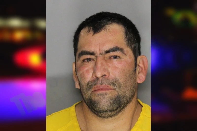 Fernando Pineda mugshot