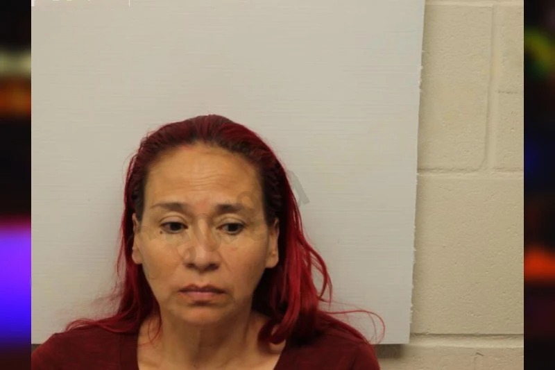 Flor Salamanca-Vargas mugshot – Chatham County , Georgia Flor Salamanca-Vargas mugshot