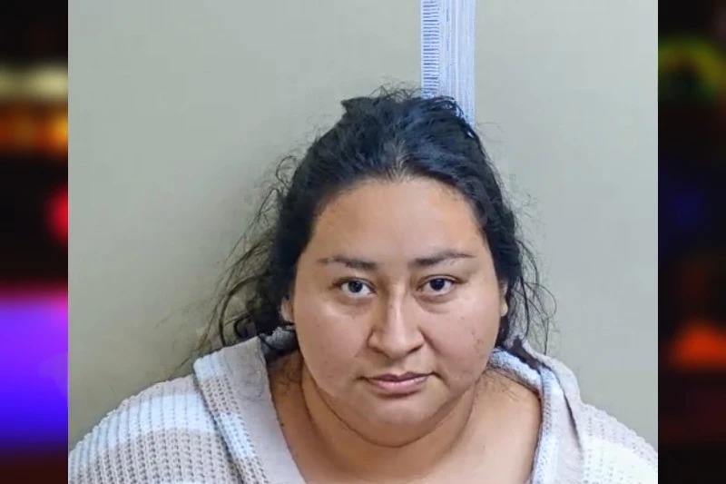 Flor Sanchez-Osorio Mugshots