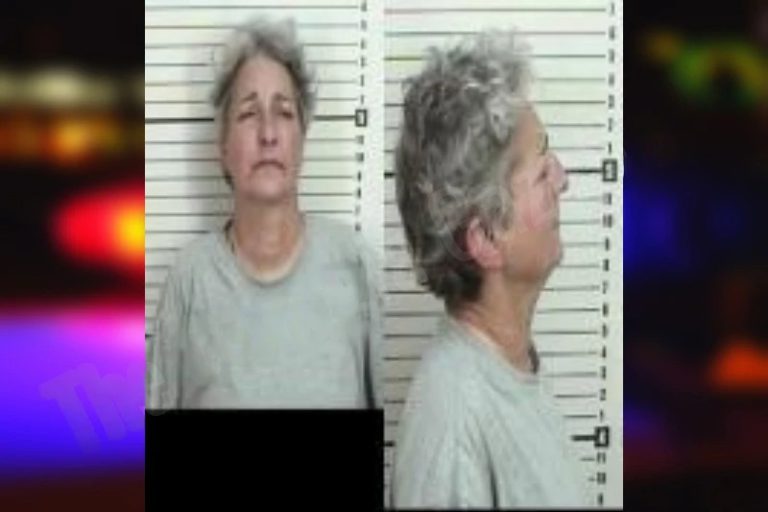 Frances Seibert mugshot – Camden County , Georgia Frances Seibert