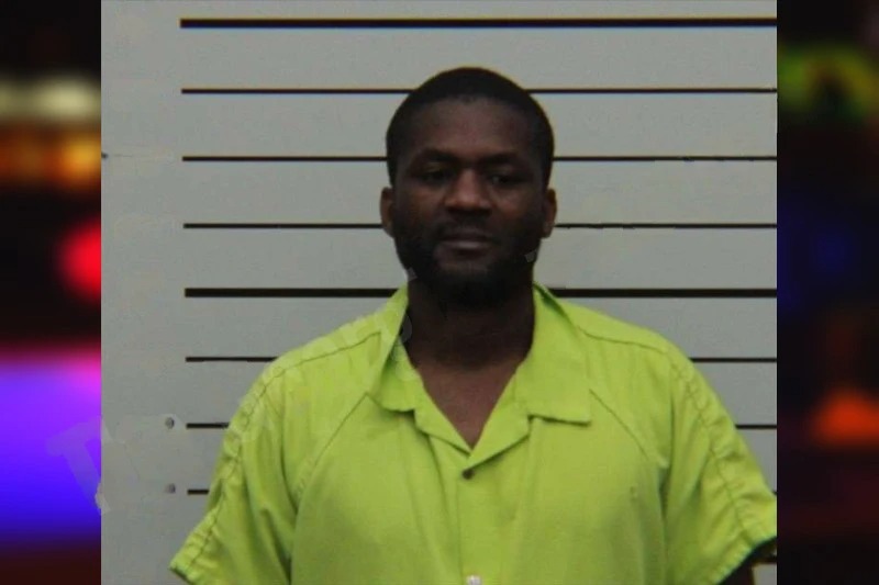 Franz Palmer Mugshots