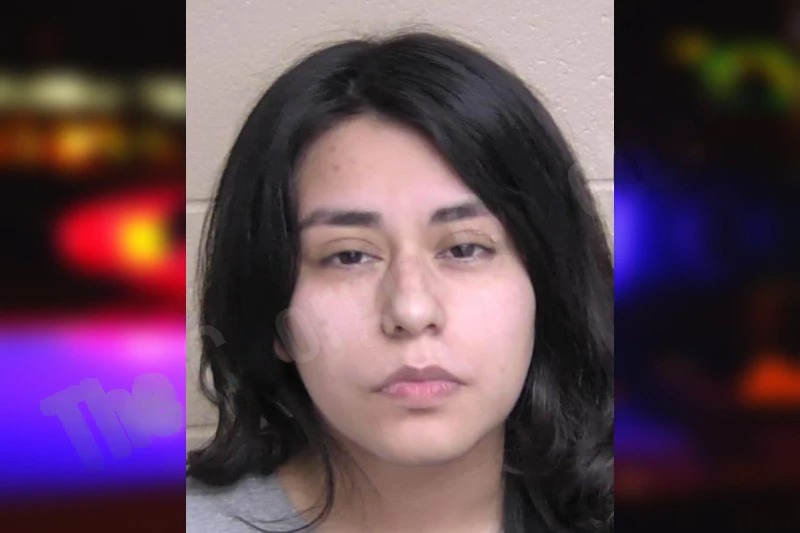 Fredysvinda Herrera mugshot – Walker County , Georgia Fredysvinda Herrera mugshot